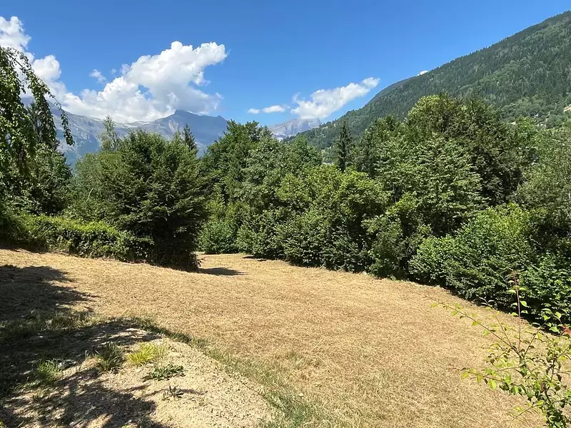 Terrain