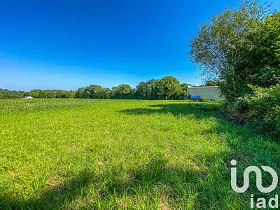 Terrain, 650 m²