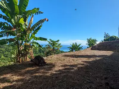 Terrain, 2 500 m²