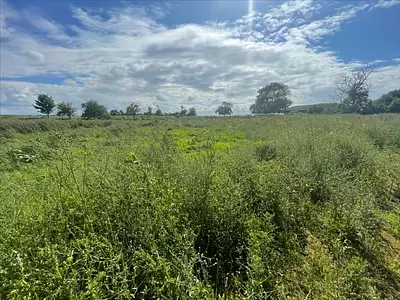 Terrain, 891 m²