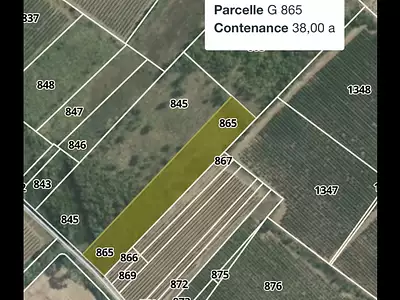 Terrain, 3 800 m²