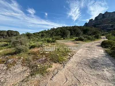 Terrain, 47 984 m²
