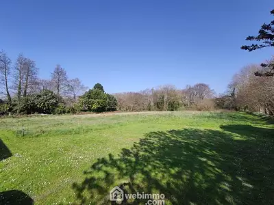 Terrain