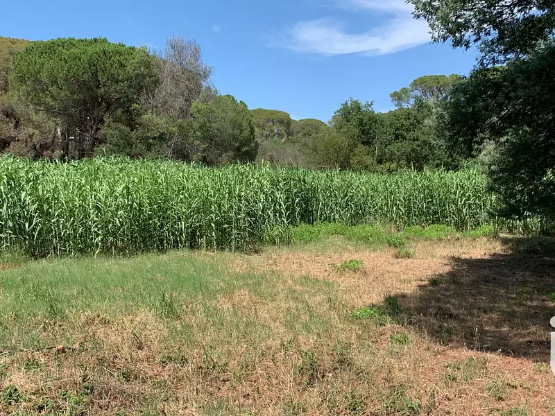 Terrain, 2 559 m²