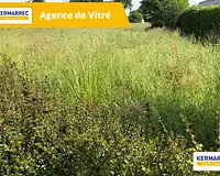 Terrain, 532 m²