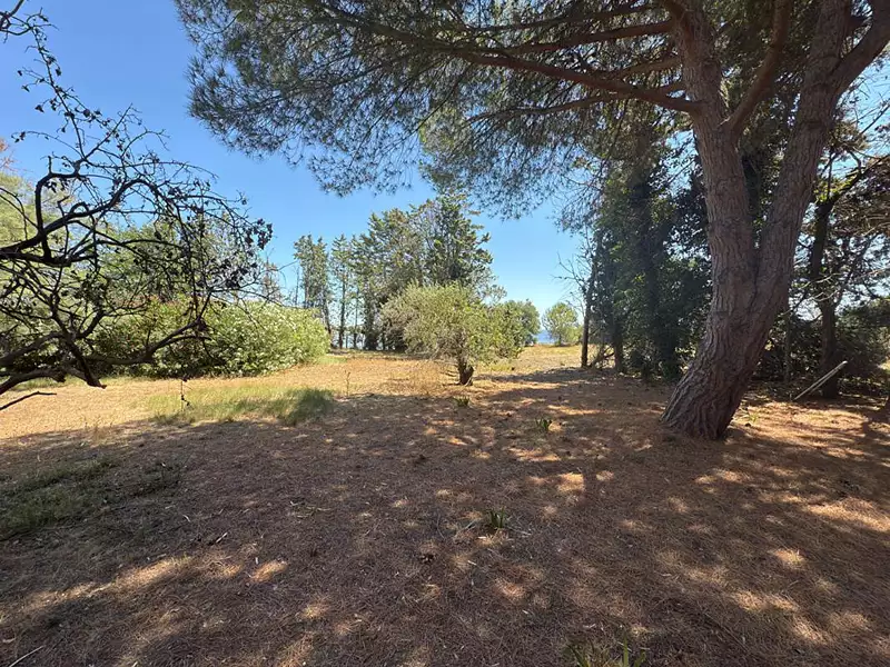 Maison, 240 m²