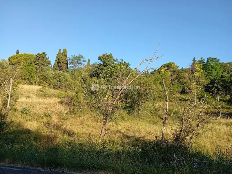 Terrain