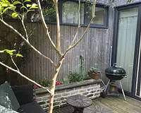 Appartement, 115 m²