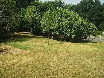 Terrain, 1 351 m²