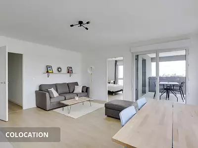 Appartement 4 pieces 81 m2 a louer - Colocation Bagneux 92220