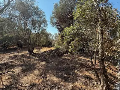 Terrain, 1 440 m²