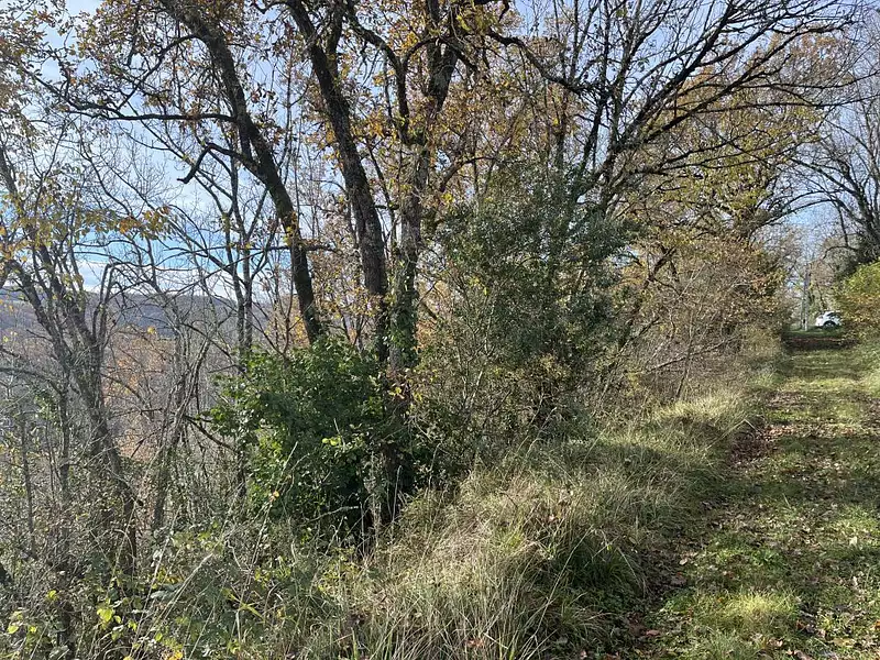 Terrain, 40 170 m²
