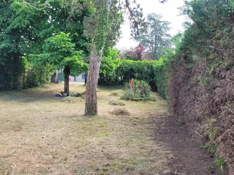 Terrain, 972 m²