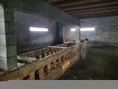 Maison, 290 m²