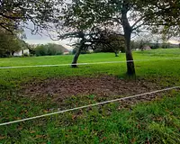 Terrain, 1 365 m²