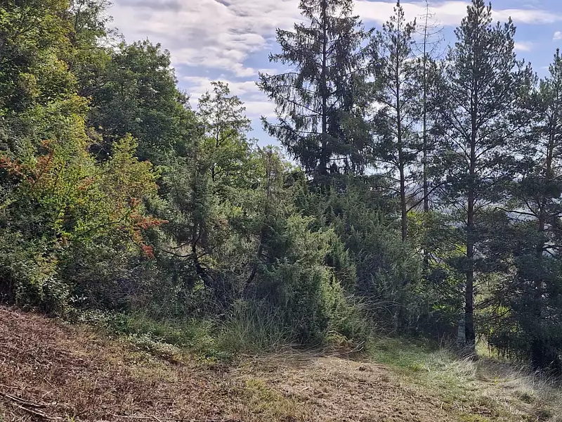 Terrain, 539 m²