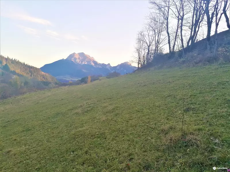 Terrain, 3 463 m²