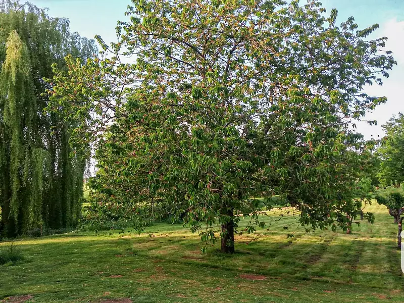 Terrain, 2 500 m²