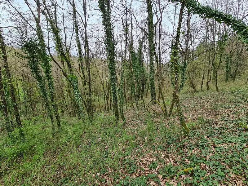 Maison, 160 m²