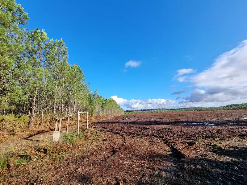 Terrain, 1 096 m²