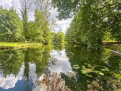 Terrain, 7 240 m²
