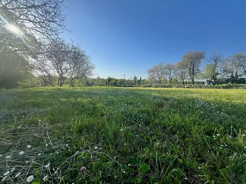 Terrain, 807 m²