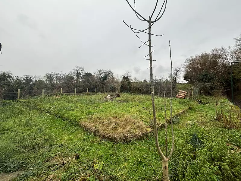 Terrain, 384 m²