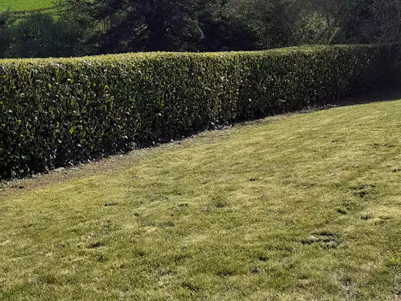 Maison, 76 m²