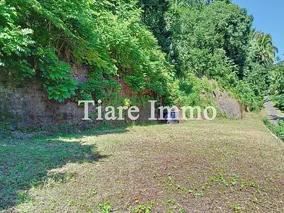 Terrain, 41 000 m²