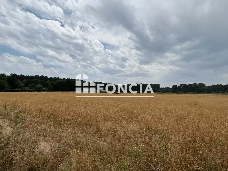 Terrain, 35 000 m²