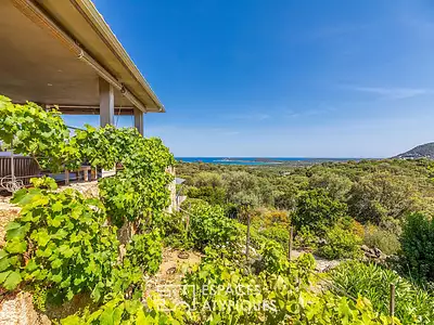 Maison, 300 m²