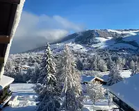 Appartement, 43,13 m²