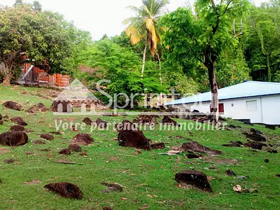 Terrain, 2 983 m²