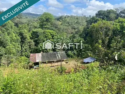 Terrain, 40 003 m²