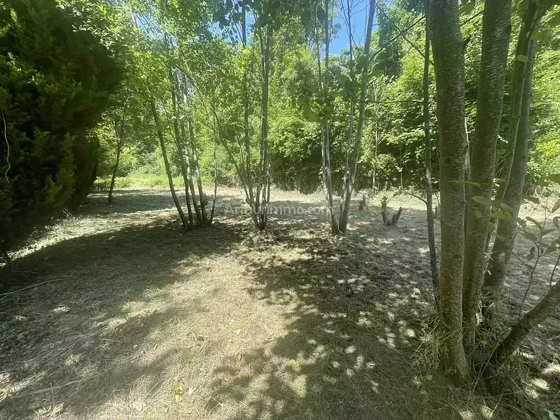 Terrain, 1 188 m²