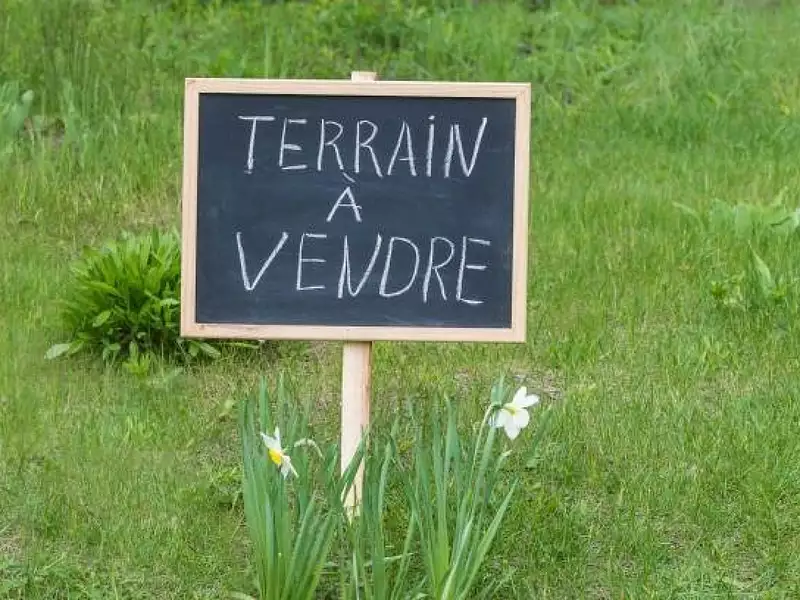 Terrain, 781 m²