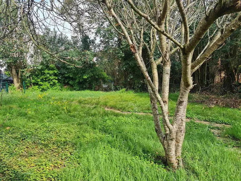 Maison, 80 m²