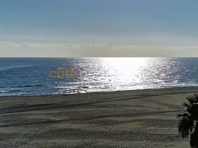 Appartement, 37,51 m²