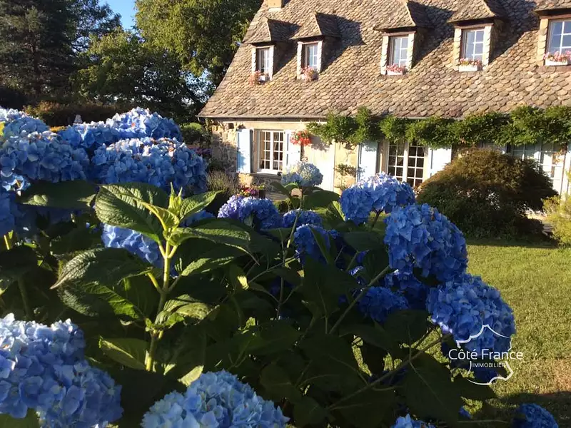 Maison, 265 m²