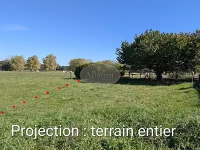 Terrain