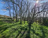 Terrain, 855 m²