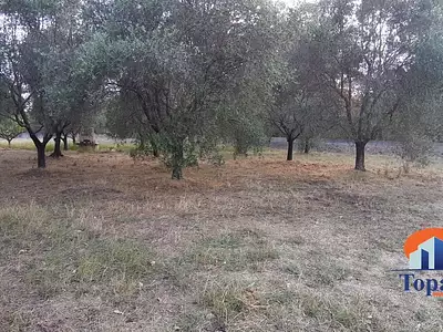 Terrain, 710 m²