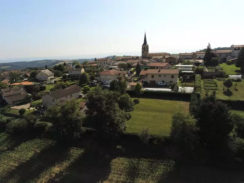 Terrain, 981 m²