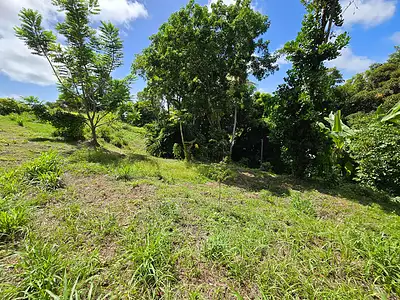 Terrain, 4 525 m²
