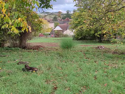 Terrain, 1 345 m²