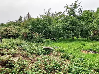 Maison, 62 m²