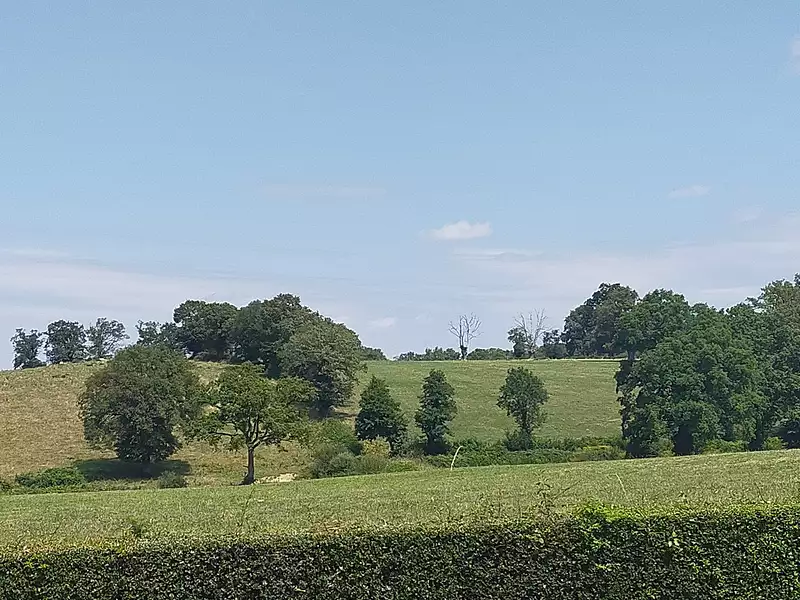 Maison, 67 m²