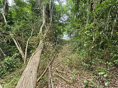 Terrain, 3 578 m²