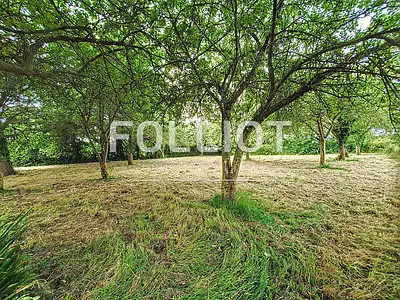Maison, 75 m²