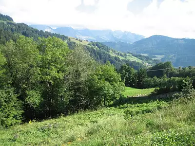 Terrain, 773 m²